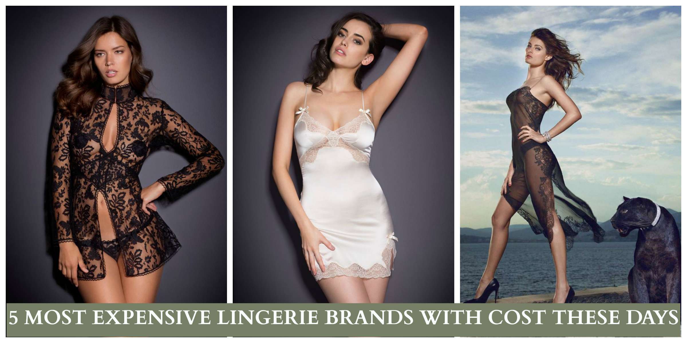 Top 5 Most Expensive Lingerie Brands With Price Details These Days