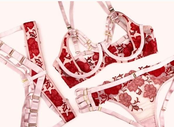 Top 5 Most Expensive Lingerie Brands with Price Details 2019