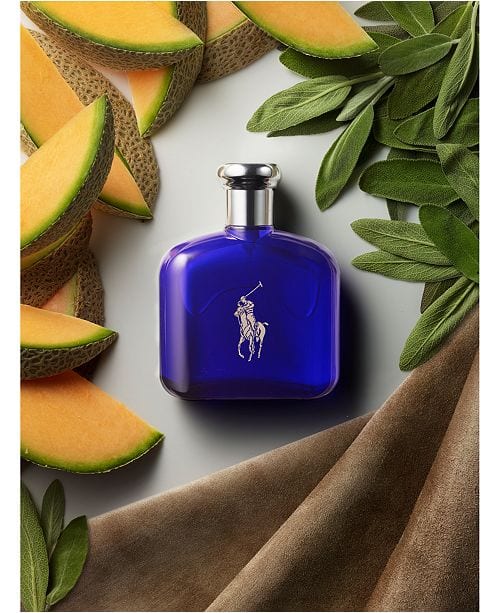 Branded Cologne for Men 5