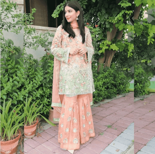 pakistani gharara outfits