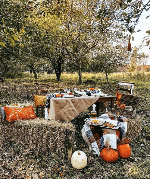 Outdoor Thanksgiving Decoration Ideas