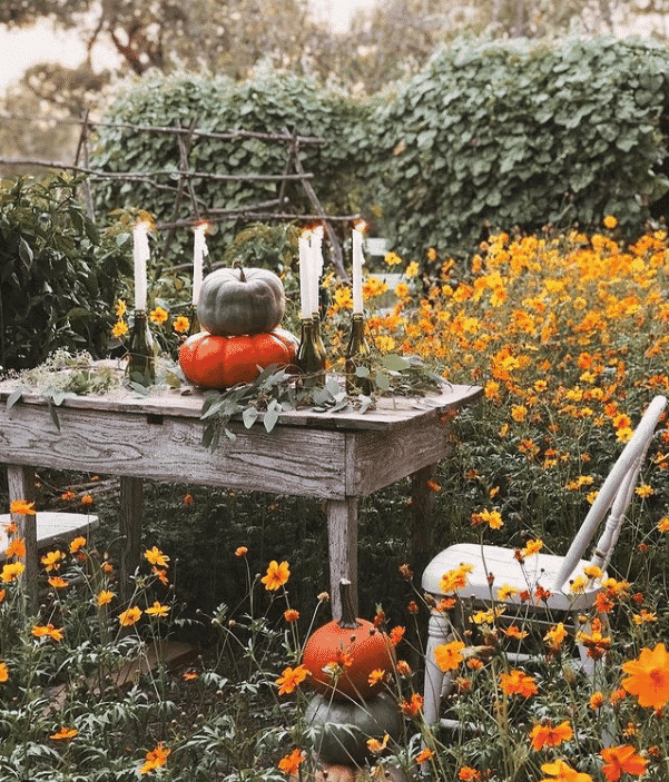 Outdoor Thanksgiving Decoration Ideas