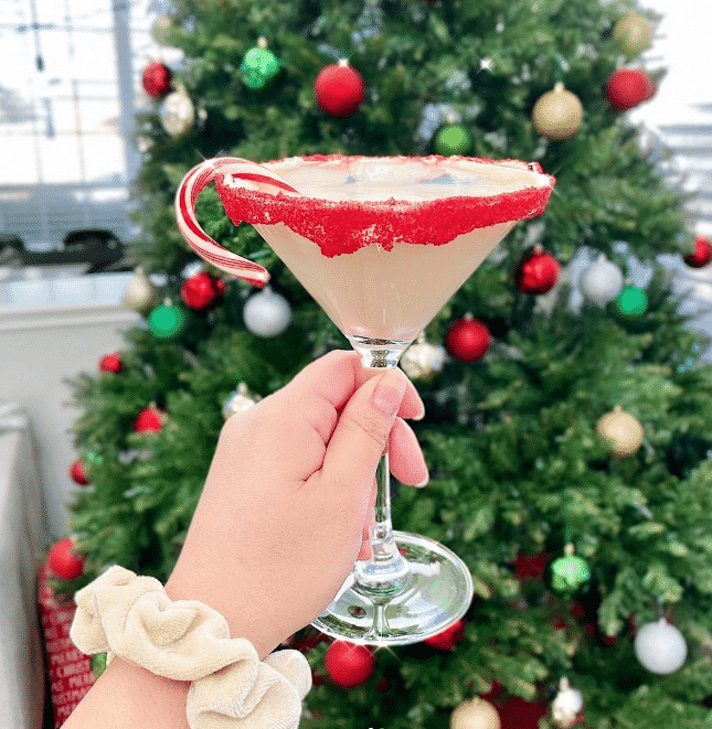 Christmas Vacation Party  Ideas