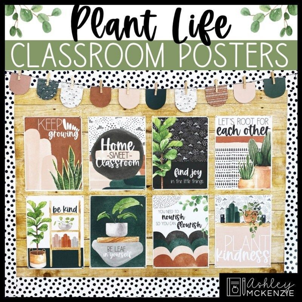 classroom design themes