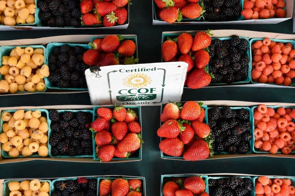 farmers market display ideas