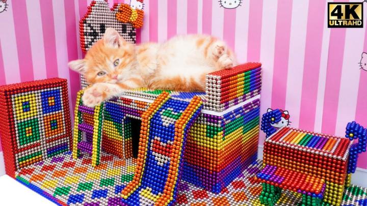 Modern Cat House Designs