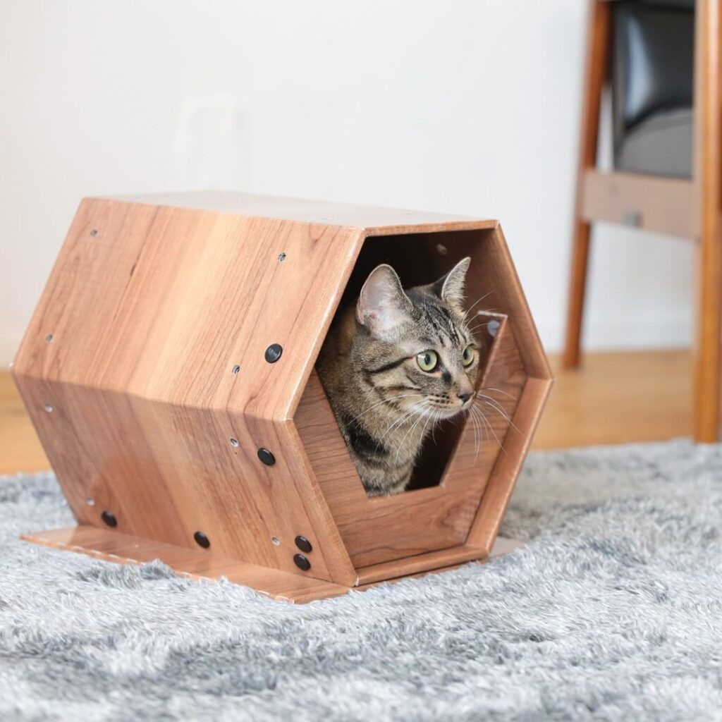 Modern Cat House Designs