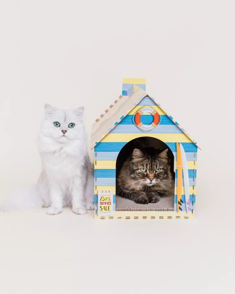 Modern Cat House Designs