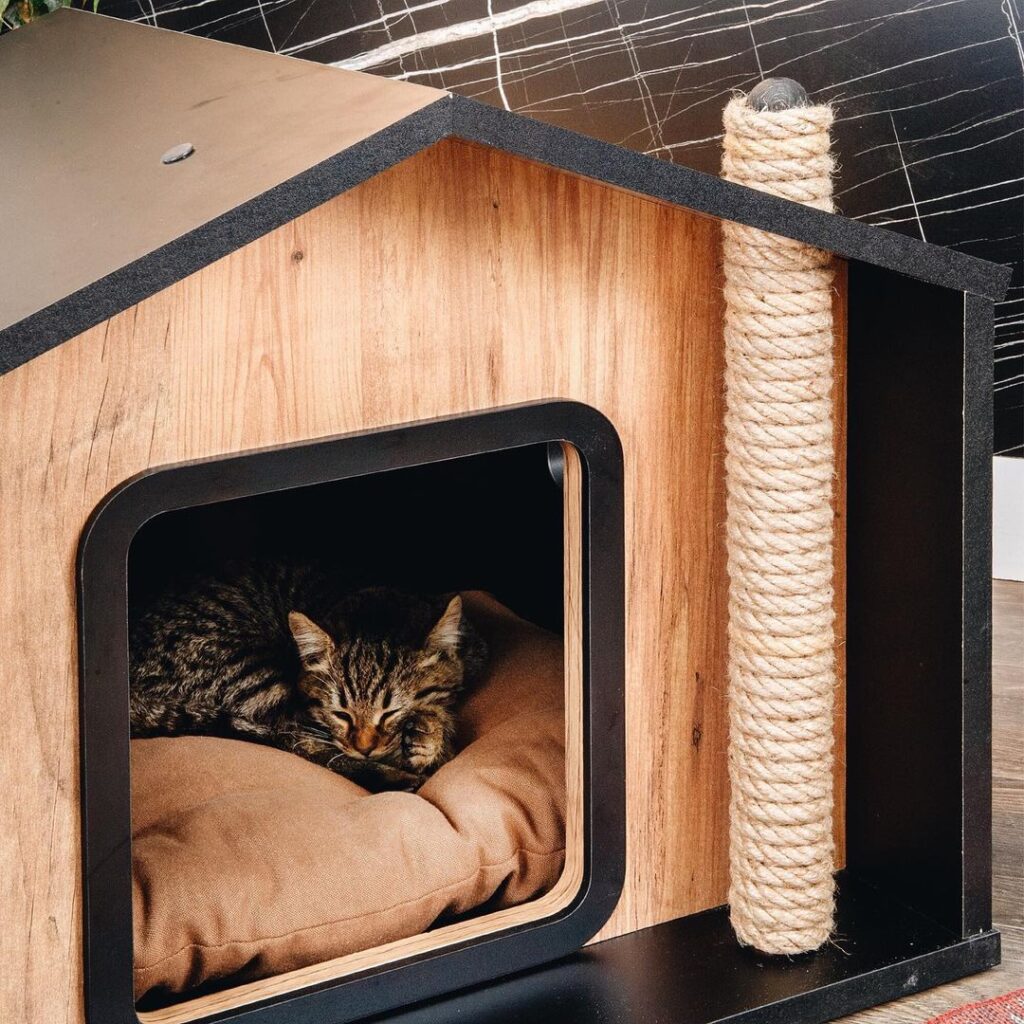 Modern Cat House Designs