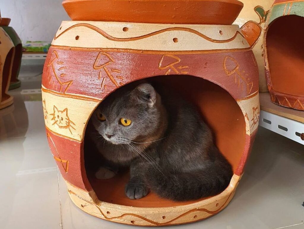 Modern Cat House Designs