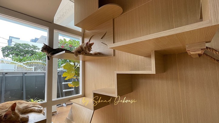 Modern Cat House Designs